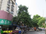巨源花苑 2室2廳1衛(wèi) 精裝 68.81平米 【編號：YY012317】